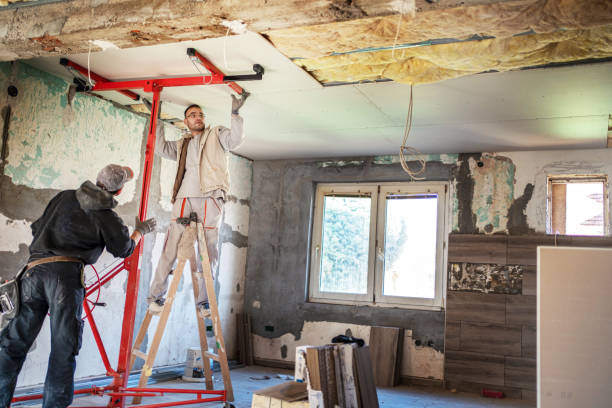 Best Commercial Insulation Contractor  in Springfield, NJ