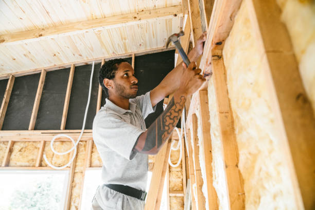 Best Best Insulation Companies  in Springfield, NJ